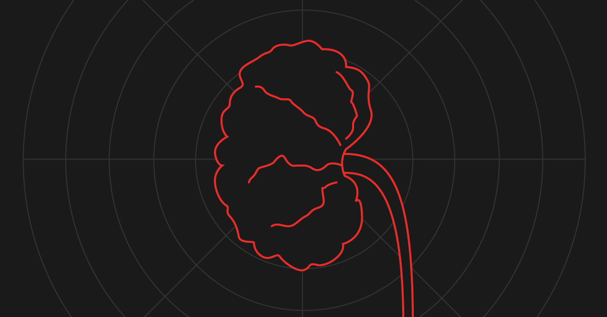 what happens in kidney disease